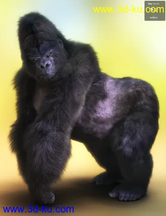 3D打印模型Gorilla for Genesis 8 Male的图片