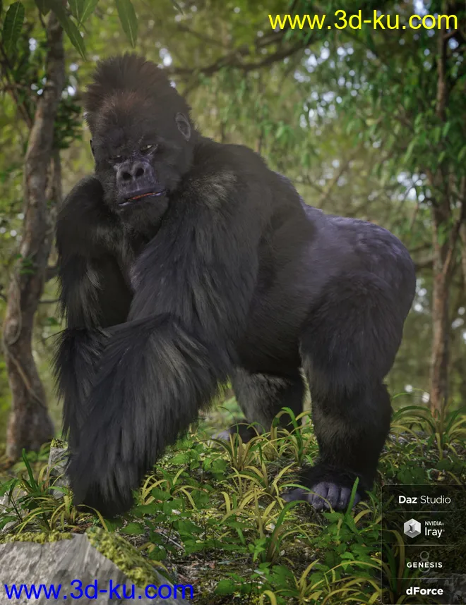Gorilla for Genesis 8 Male模型的图片2