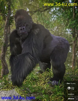3D打印模型Gorilla for Genesis 8 Male的图片