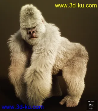 3D打印模型Gorilla for Genesis 8 Male的图片
