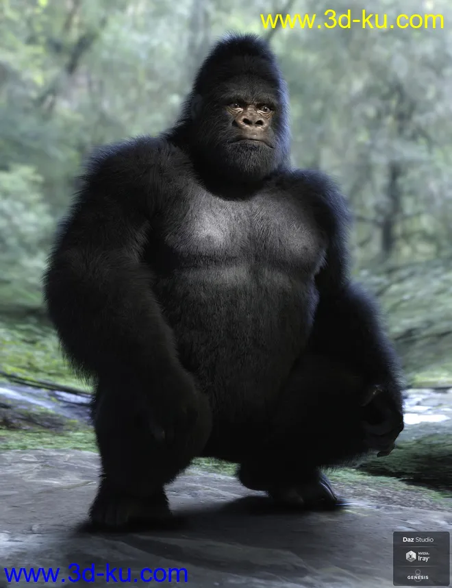Gorilla for Genesis 8 Male模型的图片9