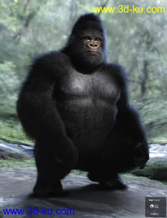 3D打印模型Gorilla for Genesis 8 Male的图片