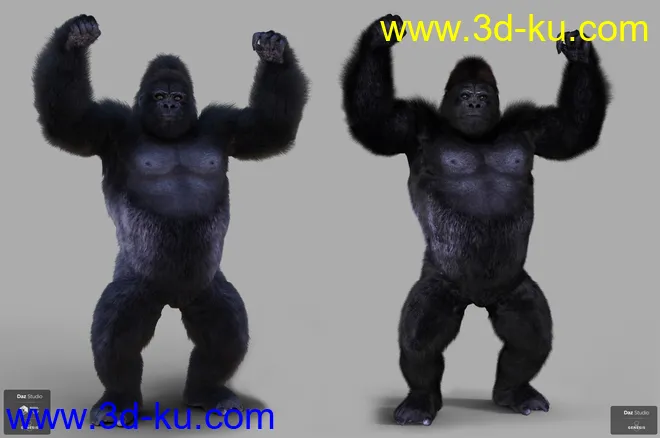 Gorilla for Genesis 8 Male模型的图片10