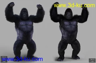 3D打印模型Gorilla for Genesis 8 Male的图片