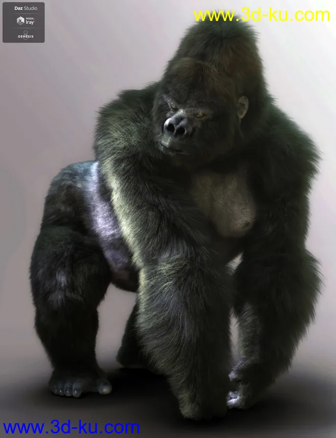 Gorilla for Genesis 8 Male模型的图片11
