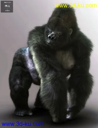 3D打印模型Gorilla for Genesis 8 Male的图片