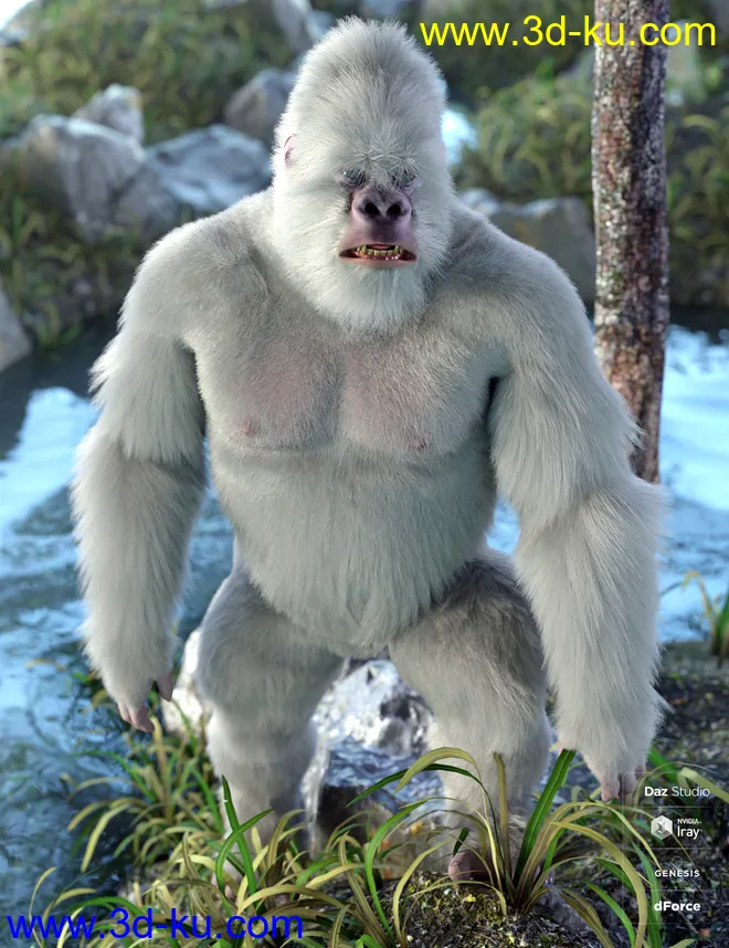 Gorilla for Genesis 8 Male模型的图片13