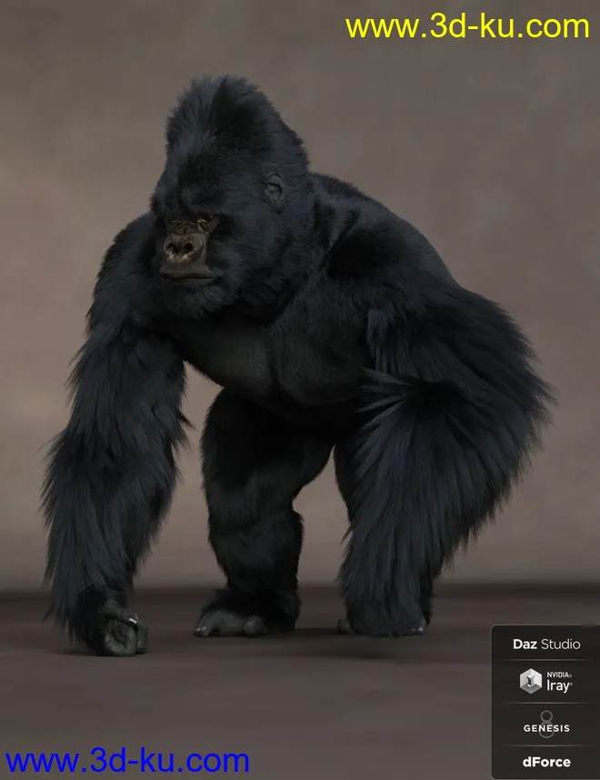 Gorilla for Genesis 8 Male模型的图片15