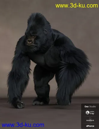 3D打印模型Gorilla for Genesis 8 Male的图片