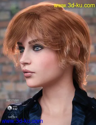 3D打印模型Greer Hair for Genesis 8 Female(s)的图片