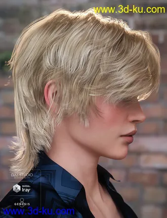 3D打印模型Greer Hair for Genesis 8 Female(s)的图片