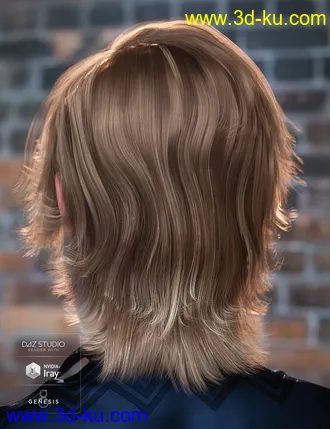 3D打印模型Greer Hair for Genesis 8 Female(s)的图片