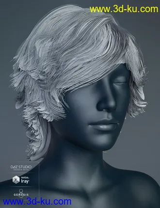 3D打印模型Greer Hair for Genesis 8 Female(s)的图片