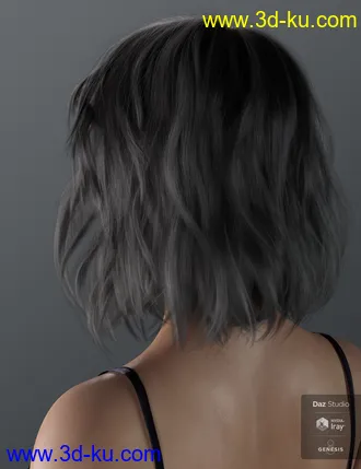 3D打印模型Haydina Hair for Genesis 8 Female(s)的图片