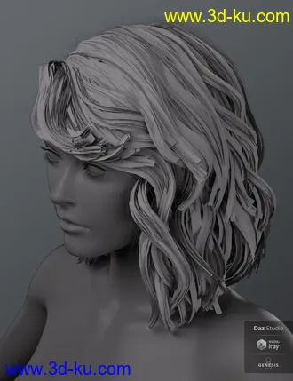 3D打印模型Haydina Hair for Genesis 8 Female(s)的图片