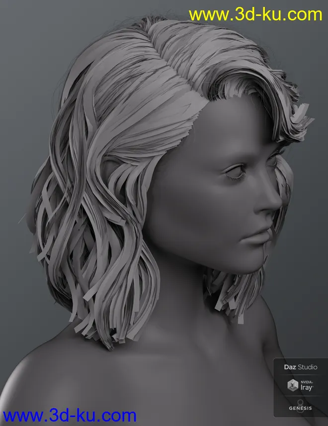 Haydina Hair for Genesis 8 Female(s)模型的图片14
