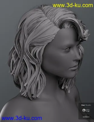 3D打印模型Haydina Hair for Genesis 8 Female(s)的图片