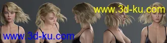 3D打印模型Haydina Hair for Genesis 8 Female(s)的图片