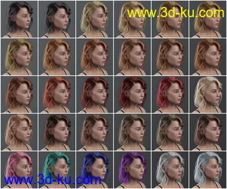 3D打印模型Haydina Hair for Genesis 8 Female(s)的图片