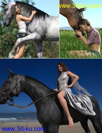 3D打印模型Horse and Rider Poses and Dress for Genesis 8的图片
