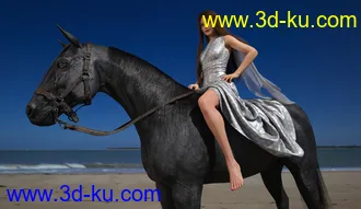 3D打印模型Horse and Rider Poses and Dress for Genesis 8的图片