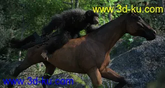 3D打印模型Horse and Rider Poses and Dress for Genesis 8的图片