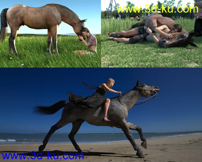 Horse and Rider Poses and Dress for Genesis 8模型的图片12