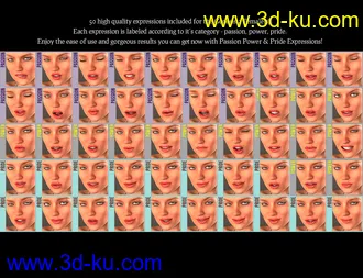 3D打印模型i13 Passion Power and Pride的图片