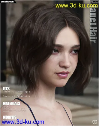 3D打印模型Janet Hair for Genesis 3 and 8 Females的图片