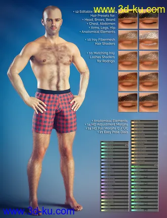 3D打印模型Jepe's Roderick for Diego 8的图片