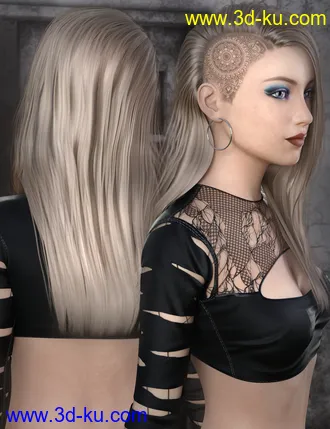 3D打印模型Jett Hair for Genesis 8 Female(s)的图片