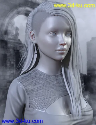 3D打印模型Jett Hair for Genesis 8 Female(s)的图片