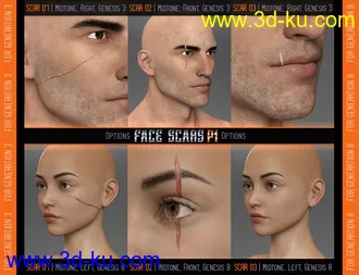 3D打印模型L.I.E. FACE SCARS for Genesis 3 and 8的图片