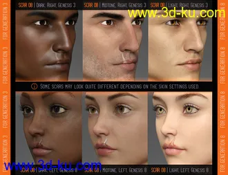 3D打印模型L.I.E. FACE SCARS for Genesis 3 and 8的图片