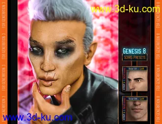 3D打印模型L.I.E. FACE SCARS for Genesis 3 and 8的图片