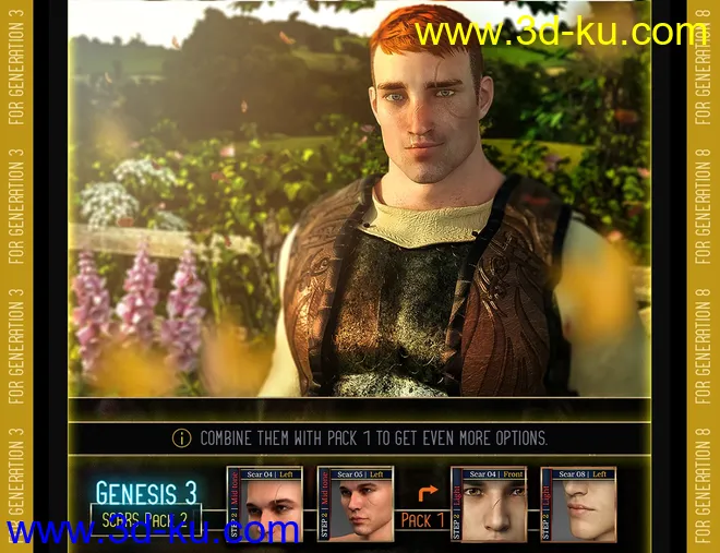 L.I.E. FACE SCARS for Genesis 3 and 8 Pack 2模型的图片13