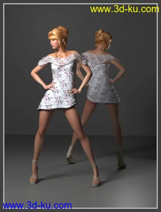 3D打印模型La Femme Closet-1的图片