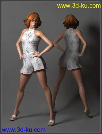 3D打印模型La Femme Closet-2的图片