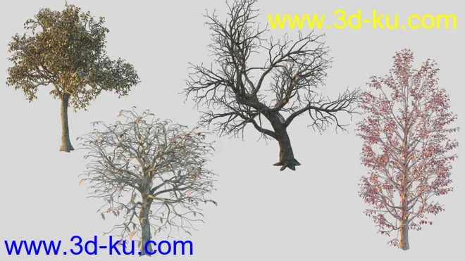 Lancaster Graveyard模型的图片9