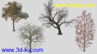 3D打印模型Lancaster Graveyard的图片