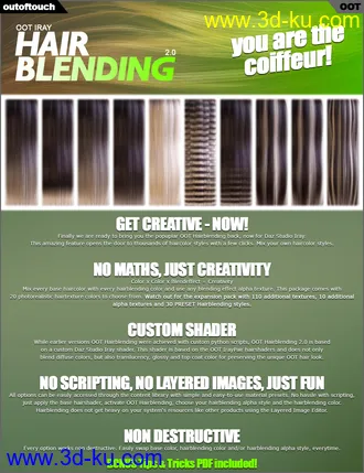 3D打印模型Lary Hair for Genesis 3 and 8 Female(s)的图片