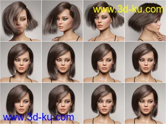 3D打印模型Lary Hair for Genesis 3 and 8 Female(s)的图片