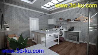 3D打印模型Laundry Room的图片