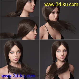 3D打印模型Loose Pigtails Hair for Genesis 3 and 8 Female(s)的图片
