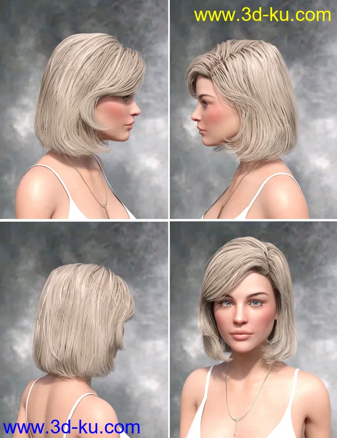 Lyam Bob Hair for Genesis 3 and Genesis 8 Female(s)模型的图片6