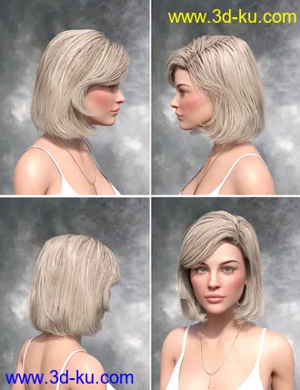 3D打印模型Lyam Bob Hair for Genesis 3 and Genesis 8 Female(s)的图片