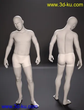 3D打印模型M3D Teen 8 Classmates Head Shapes for Genesis 8 Male的图片