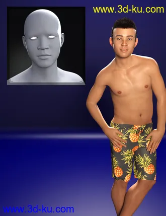 3D打印模型M3D Teen 8 Classmates Head Shapes for Genesis 8 Male的图片