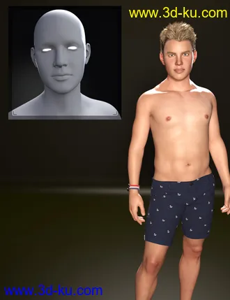 3D打印模型M3D Teen 8 Classmates Head Shapes for Genesis 8 Male的图片