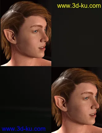 3D打印模型M3D Teen 8 Classmates Head Shapes for Genesis 8 Male的图片
